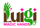 Luigi Magic Hands
